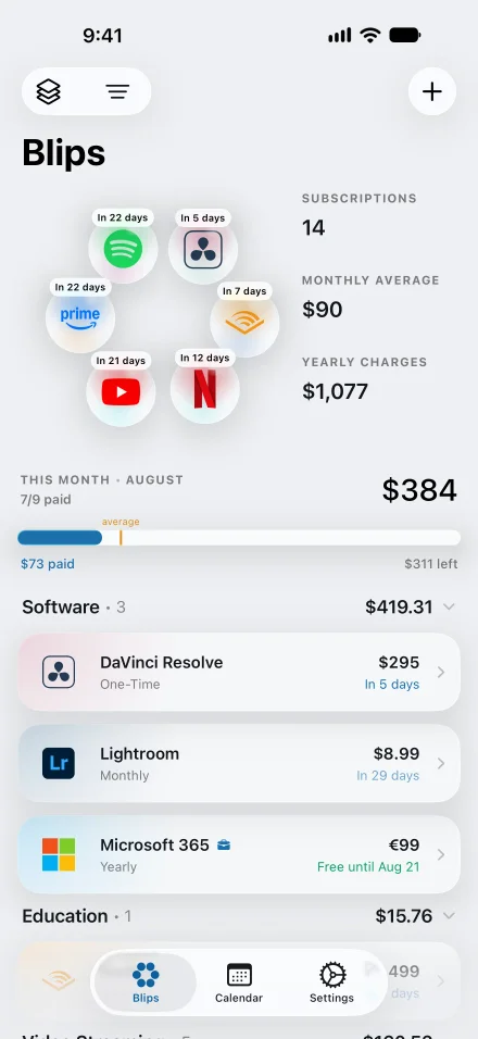 A Blips subscription showing the full price alongside your own share of it